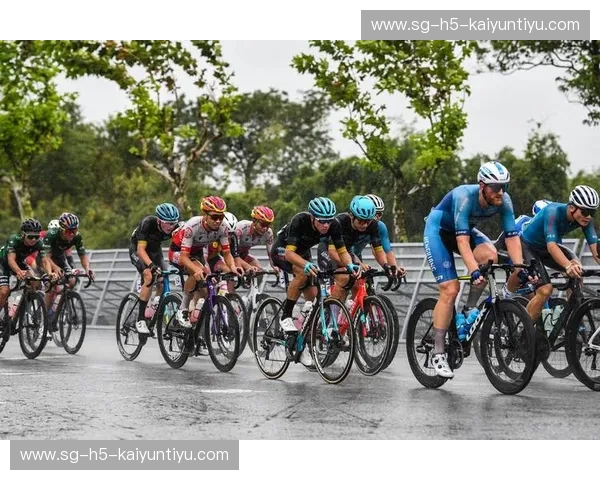 自行车环赛直播：速度、数据与情感的全景放大镜