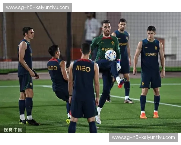 开云体育犯规对比——探索体育比赛中的规则与执行差异