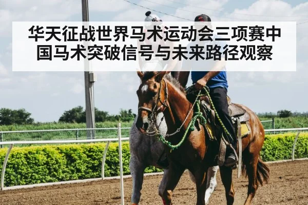 horse rider training